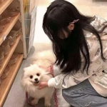 刺激吃鸡战场破解版下载